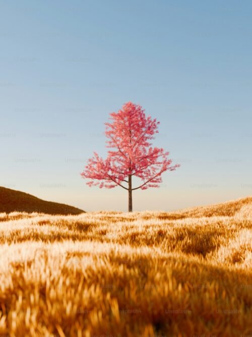 Santé Mentale Et Physique